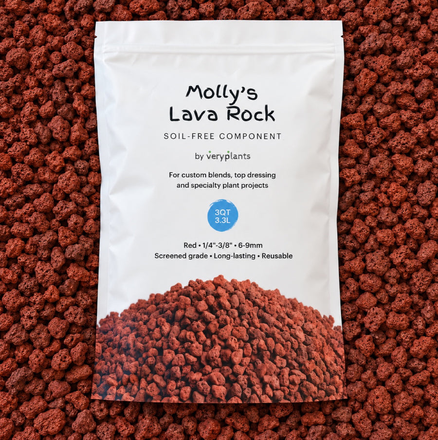 Molly's Lava Rock bag on a bed of red lava rock