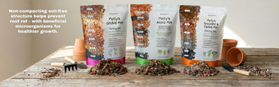 Molly's Orchid, Aroid and Succulent mixes with their component ingredients on a potting bench