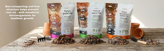 Molly's Orchid, Aroid and Succulent mixes with their component ingredients on a potting bench