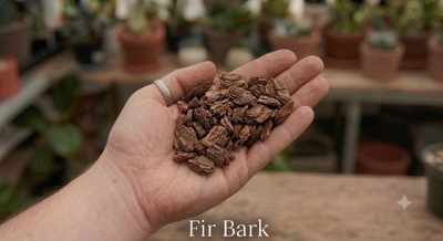Orchid-grade fir bark, the structural backbone of an anthurium mix
