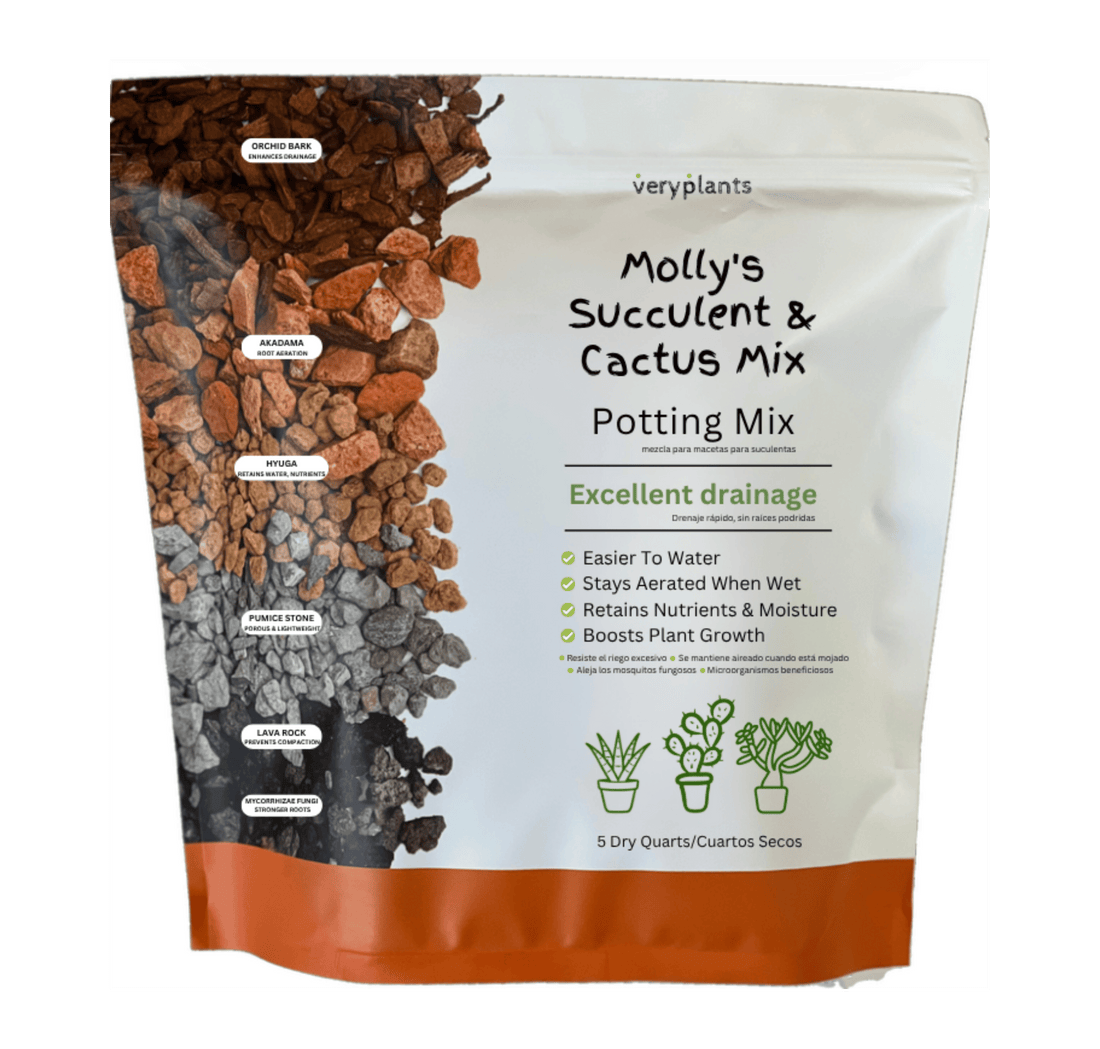 Molly's Succulent & Cactus Mix, a gritty mineral blend
