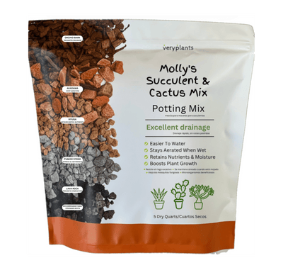 Molly's Succulent & Cactus Mix, a gritty mineral blend that drains in seconds