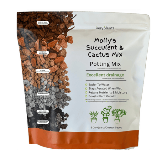 Molly's Succulent & Cactus Mix, a gritty mineral blend that drains in seconds