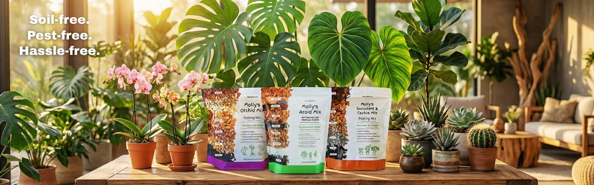 Potting mix, without the guesswork.