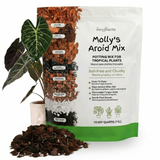 Molly's Aroid Mix