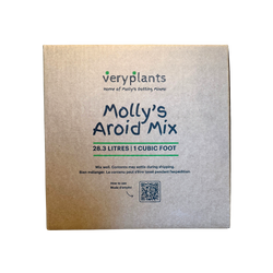 potting soil for succulents