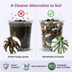 Molly's Orchid Mix - Premium Soilless Orchid Potting Mix