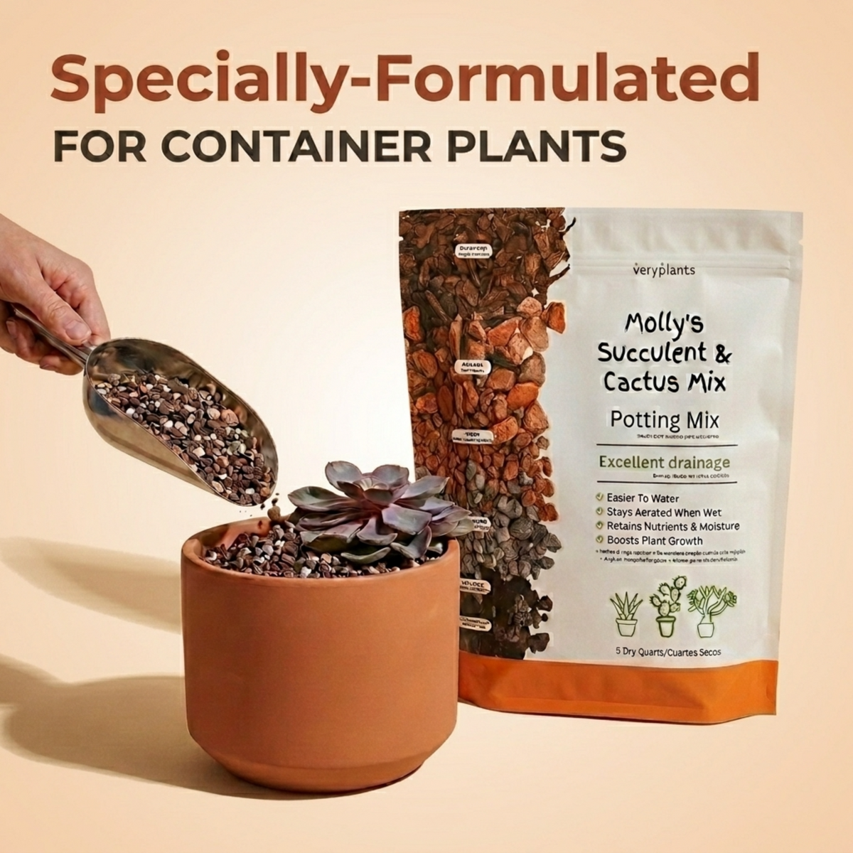 Hand scooping Molly's Succulent & Cactus Mix into a terracotta pot with a succulent
