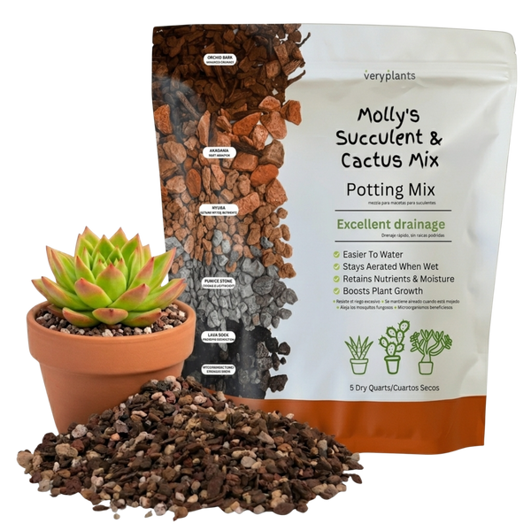 Molly's Succulent Mix - Premium Gritty Soilless Potting Mix for Succulents, Cactus and Bonsai
