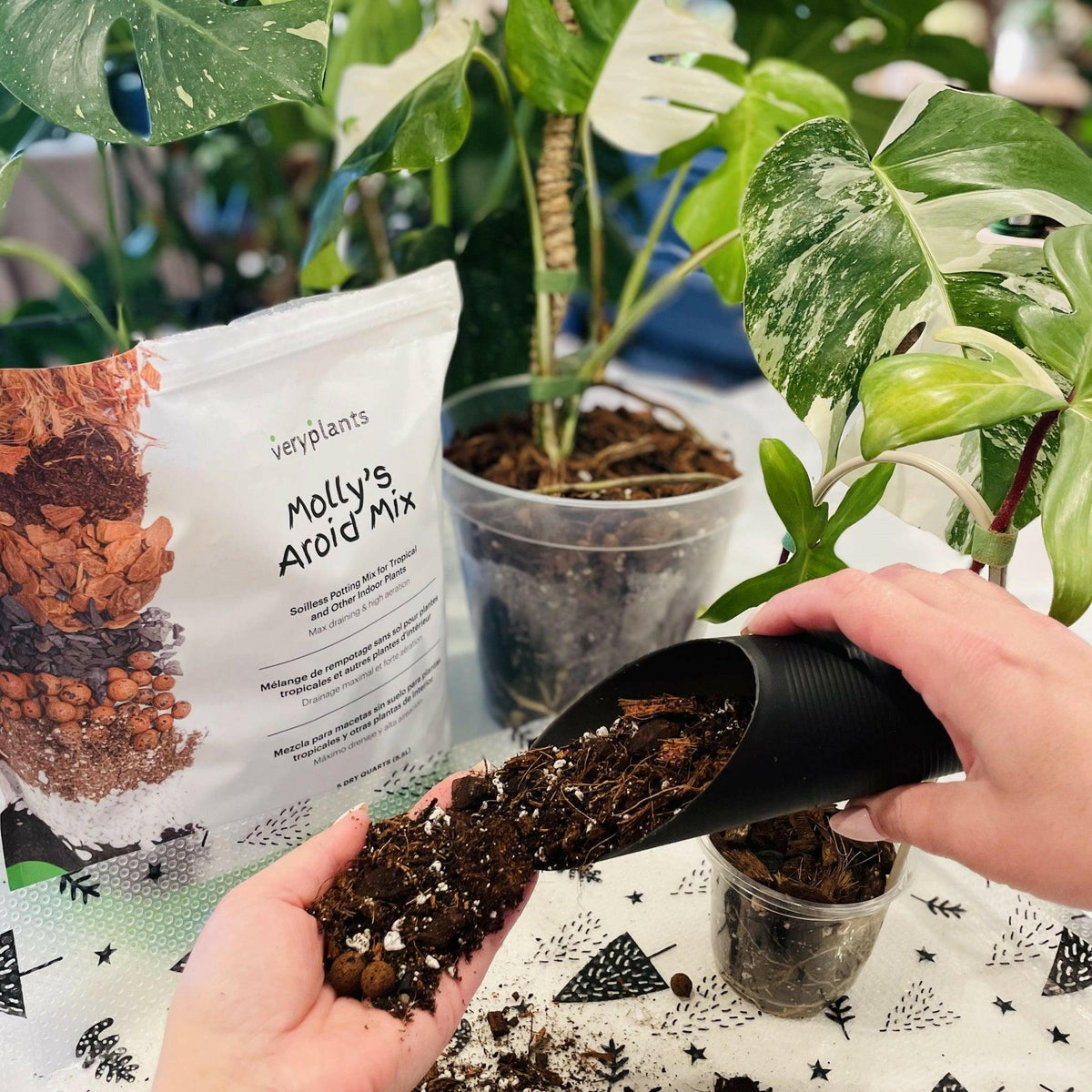 Molly's Aroid Mix - Premium Tropical Plant Soilless Potting Mix - VERYPLANTS