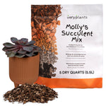 Molly's Succulent Mix - Mélange de rempotage granuleux de qualité supérieure pour plantes grasses, cactus et bonsaï
