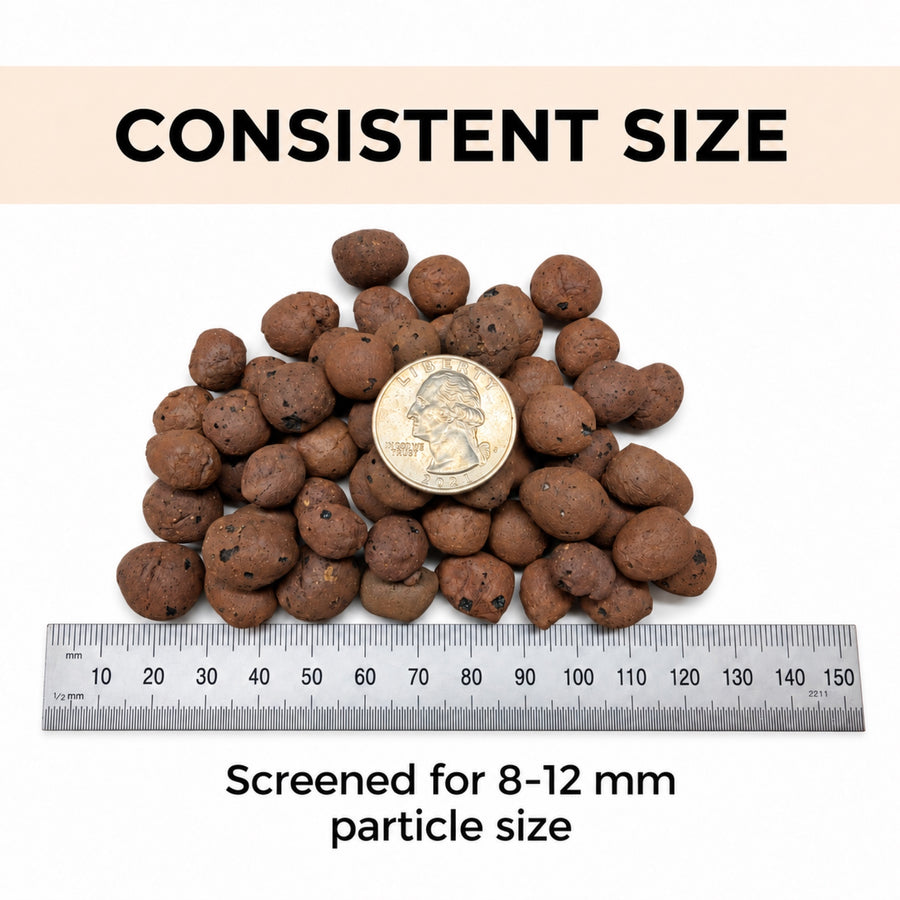 Clay pebbles beside a ruler and a quarter, screened to 8 to 12 mm