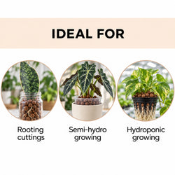 Clay pebbles used for rooting cuttings, semi-hydro and hydroponic growing