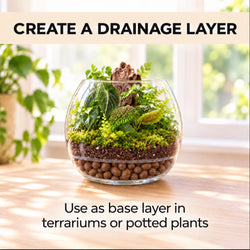 Clay pebbles as a drainage layer at the base of a terrarium