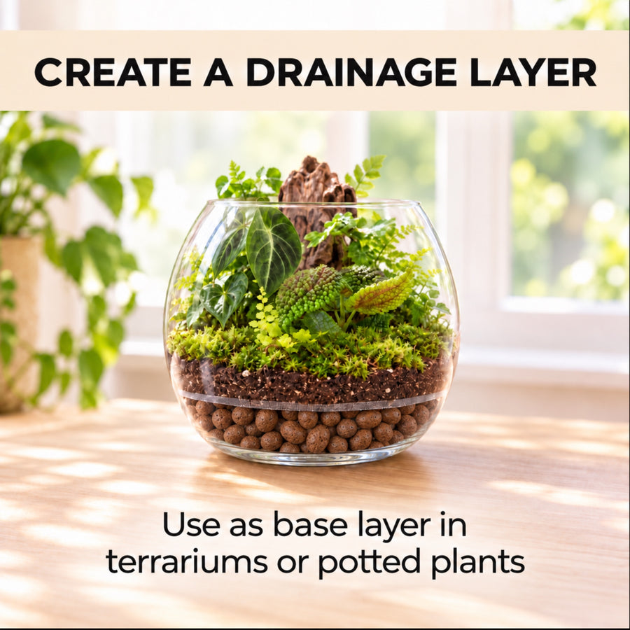 Clay pebbles as a drainage layer at the base of a terrarium