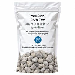 Molly's Pumice 3 quart (3.3 L) bag, screened 3/8 to 1/2 inch (8 to 12 mm)