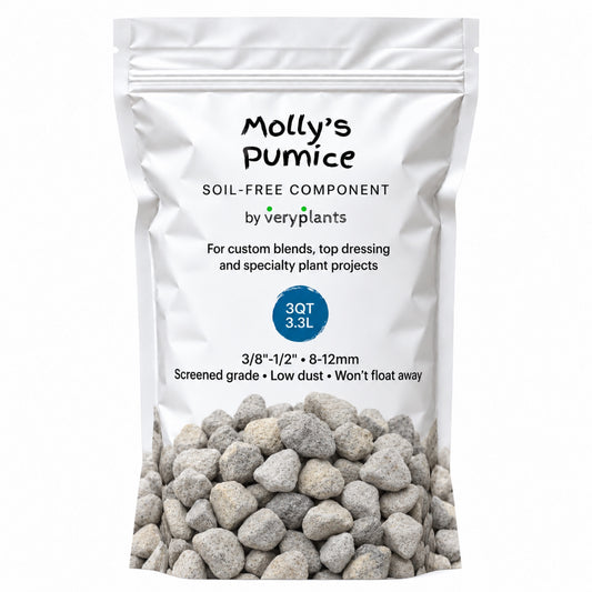 Molly's Pumice 3 quart (3.3 L) bag, screened 3/8 to 1/2 inch (8 to 12 mm)