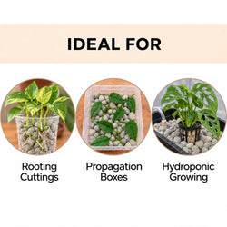Pumice used for rooting cuttings, propagation boxes and hydroponic growing