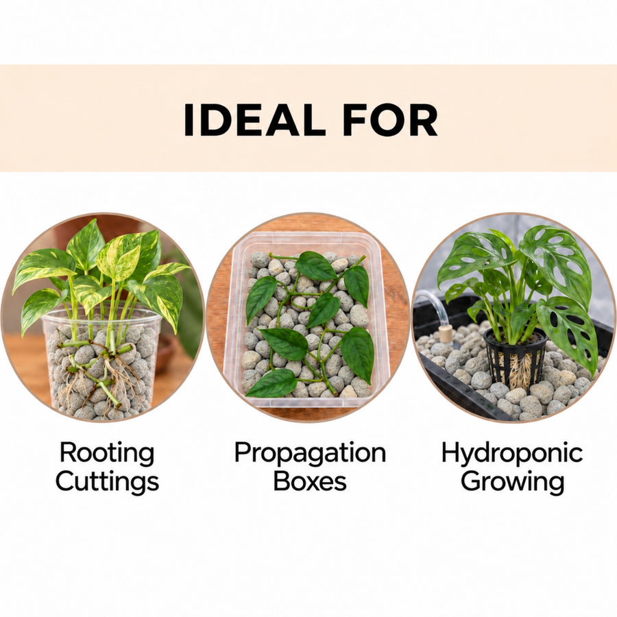 Pumice used for rooting cuttings, propagation boxes and hydroponic growing