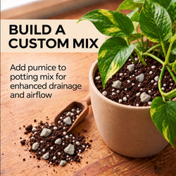 Pumice mixed into potting mix for a custom blend