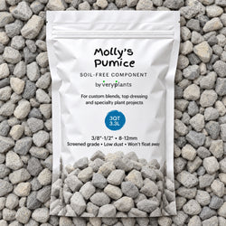 Molly's Pumice bag on a bed of pumice