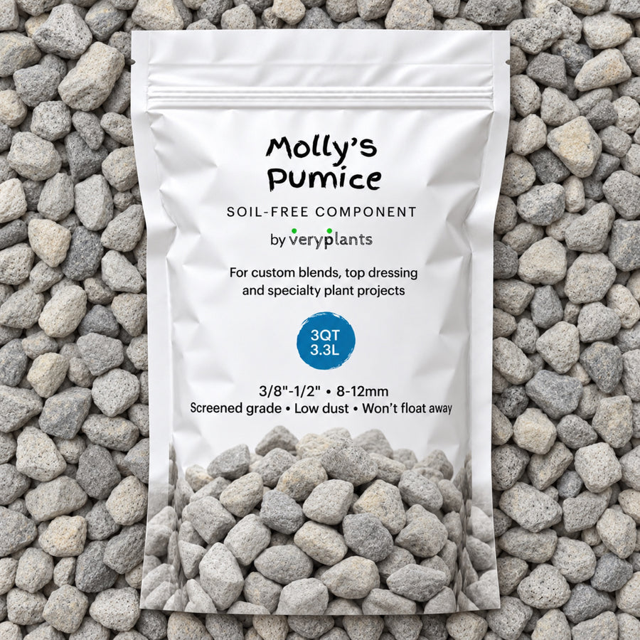 Molly's Pumice bag on a bed of pumice