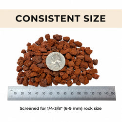 Red lava rock beside a ruler and a quarter, screened to 6 to 9 mm