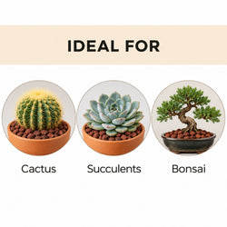 Red lava rock used with cactus, succulents and bonsai