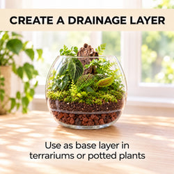 Red lava rock as a drainage layer at the base of a terrarium